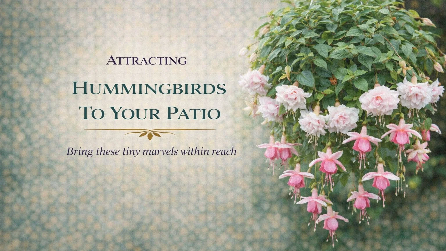 Best Hanging Basket Flower to Attract Hummingbirds — Anthony Lujan